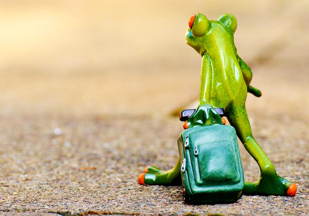 Traveler checking off items on a checklist in a scenic outdoor setting